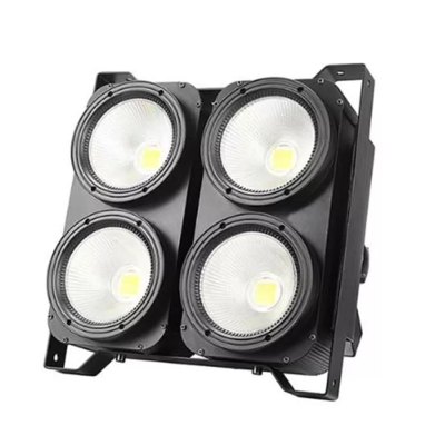 4x100W 观众灯（双色）